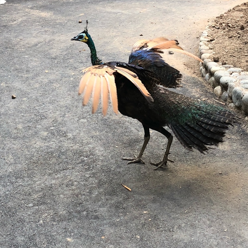 Meet your Posher, Kelly